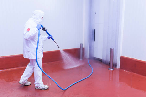 Paint Preparation in Altamont, IL